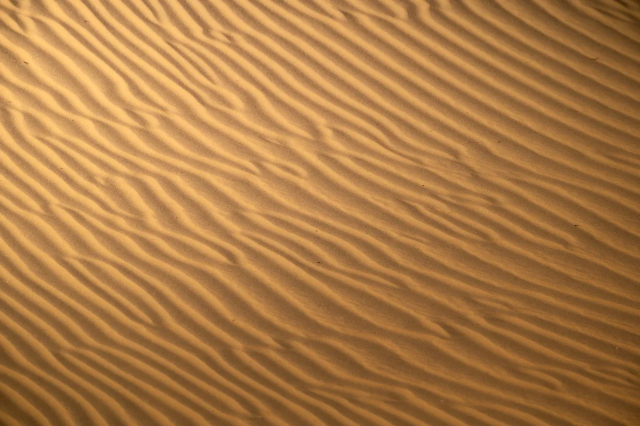 Wind-rippled golden dunes from the air