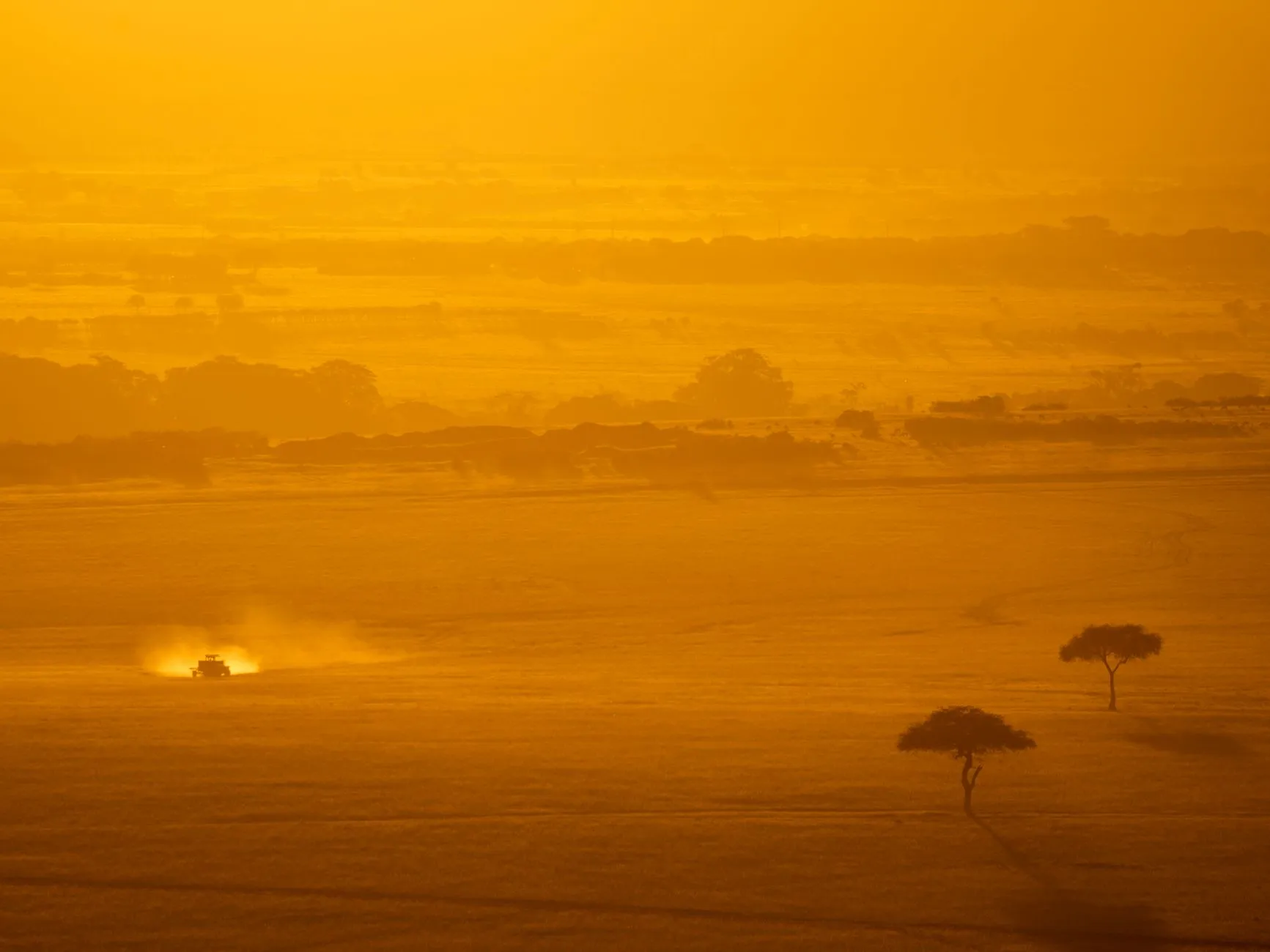 Golden savanna at sunrise seen from the air