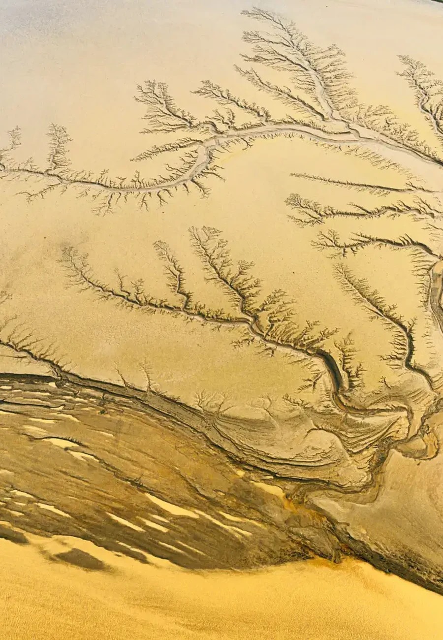 A braided river delta seen from the air, vertical